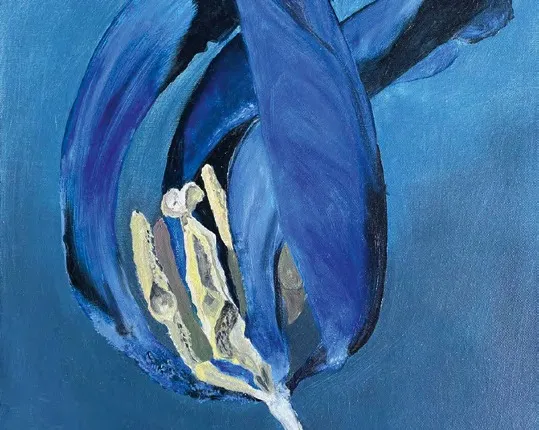 ARTELIER SCHILLER